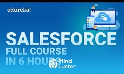 Salesforce for Beginners