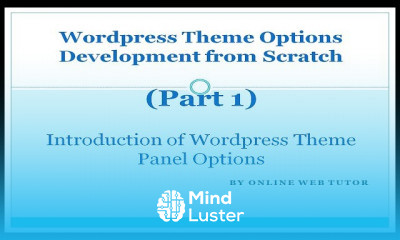 Wordpress Theme Options for beginners