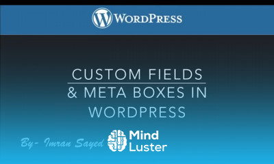 Meta Boxes in WordPress