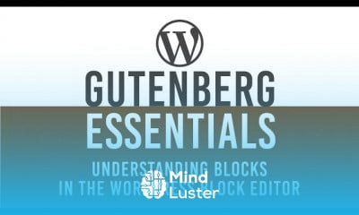 What are Blocks in the WordPress