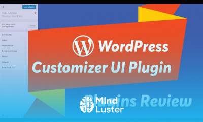 WordPress Customizer UI plugin