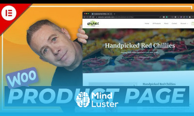 Elementor Visual Page Editor
