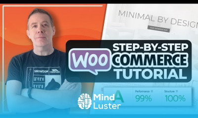 Professional Wordpress Website