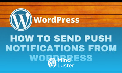 WordPress to professional