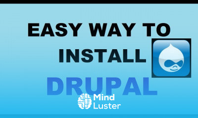 Drupal to professional