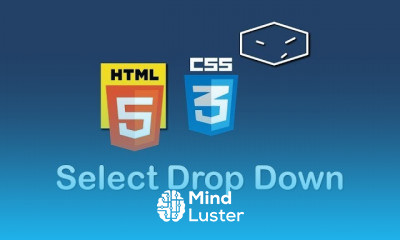 HTML CSS and JavaScript