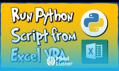 Excel VBA Python