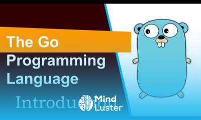 Go programming for Beginners Hindi