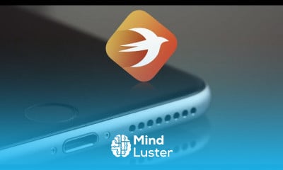 Professional iOS App