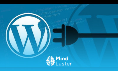 Plugins in WordPress