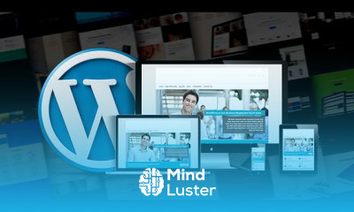 Different WordPress Themes