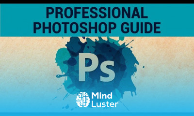 Professional Photoshop Guide