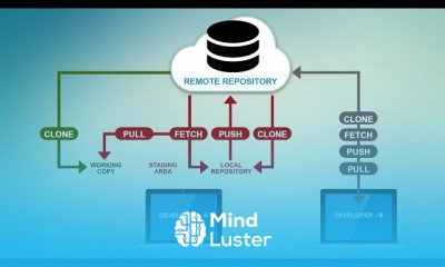 Remote Repositories in Git