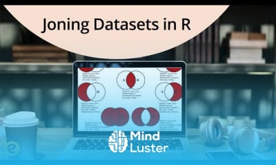 Expert R Programming