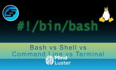Bash Scripting