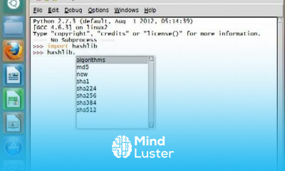 Python hashlib Module