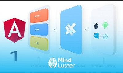 Ionic Capacitor With Angular 9