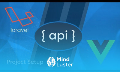 Laravel API Development Vue JS SPA