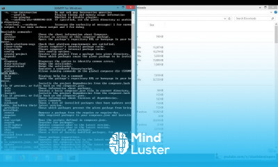Professional Laravel 5 7
