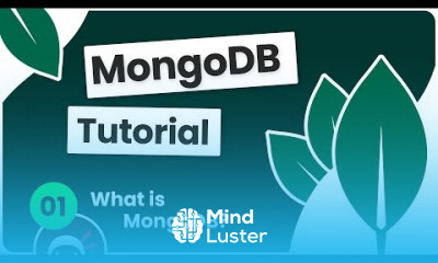 Complete MongoDB