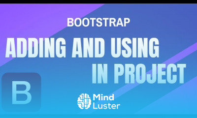 Professional Bootstrap