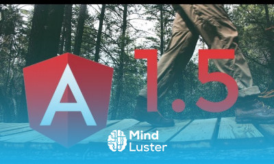 Angular 1 5 Professional