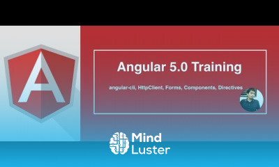 Expert Angular 5 0