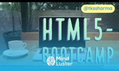 Professional HTML5 CSS3