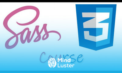 Professional SASS CSS