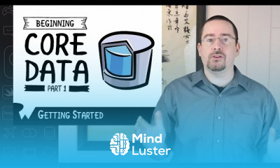 professional Core Data