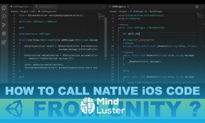 Unity iOS Plugins iOS Bridge