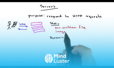 expert Web Development