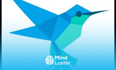 Dart From beginner to professional