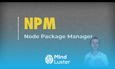 Node js Package Manager