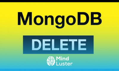 professional MongoDB