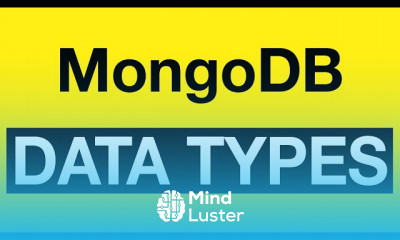 MongoDB Data Types