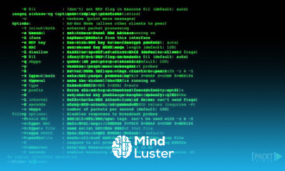 BackTrack 5 Wireless Penetration Testing