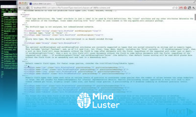 Apache Solr Search Server