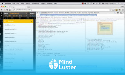 Hybrid Application Development