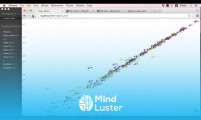 D3 js Data Visualizations