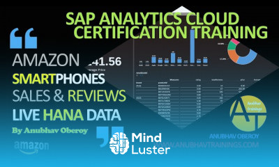 SAP Analytics cloud for BI