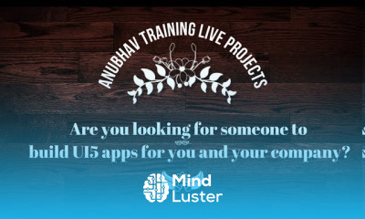 Freelancing Fiori Apps Developments