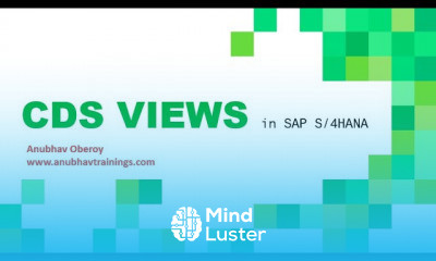 CDS Virtual Data Models