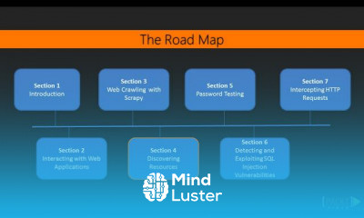 Python Web Penetration Testing