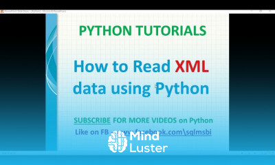 Python XML examples