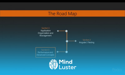 Angular 2 Solutions Advanced