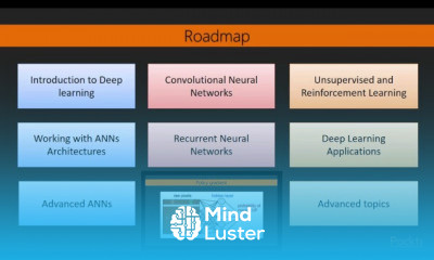 Deep Learning with R