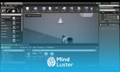 Engine 4 Scripting with C