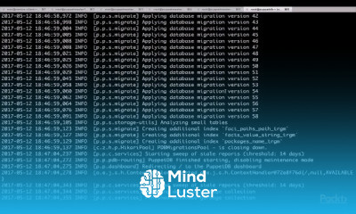 Advanced Puppet Techniques