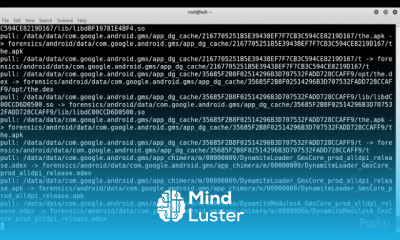 Digital Forensics with Kali Linux